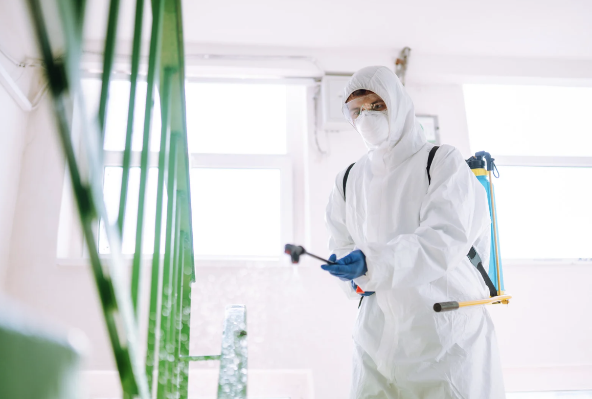 Servizio 3 placeholder